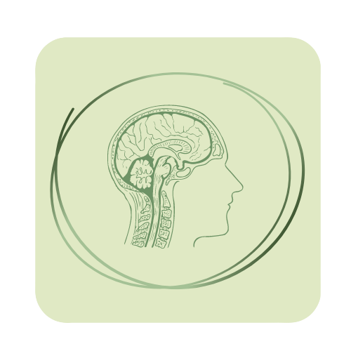 Neurosciences